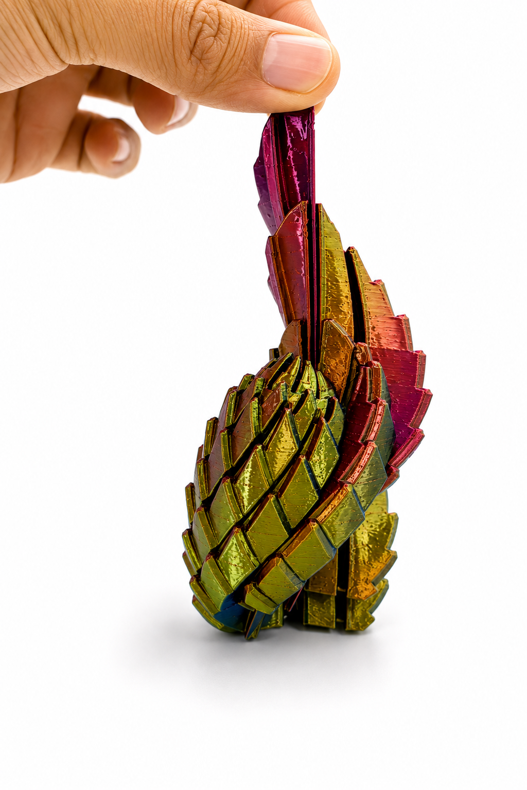 The Dragon Egg