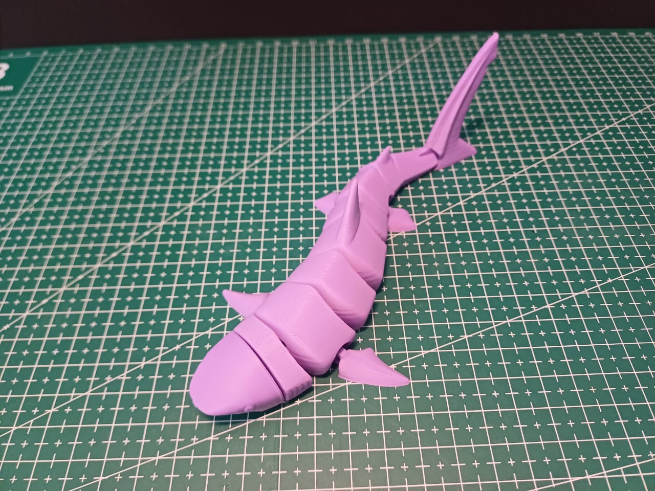 Flexi Shark